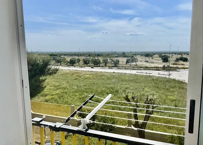 Antonio's * בארי